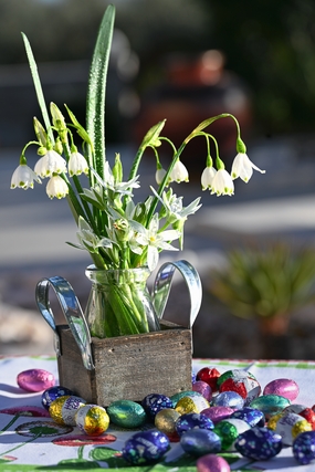 复活节彩蛋水培插花摄影图片